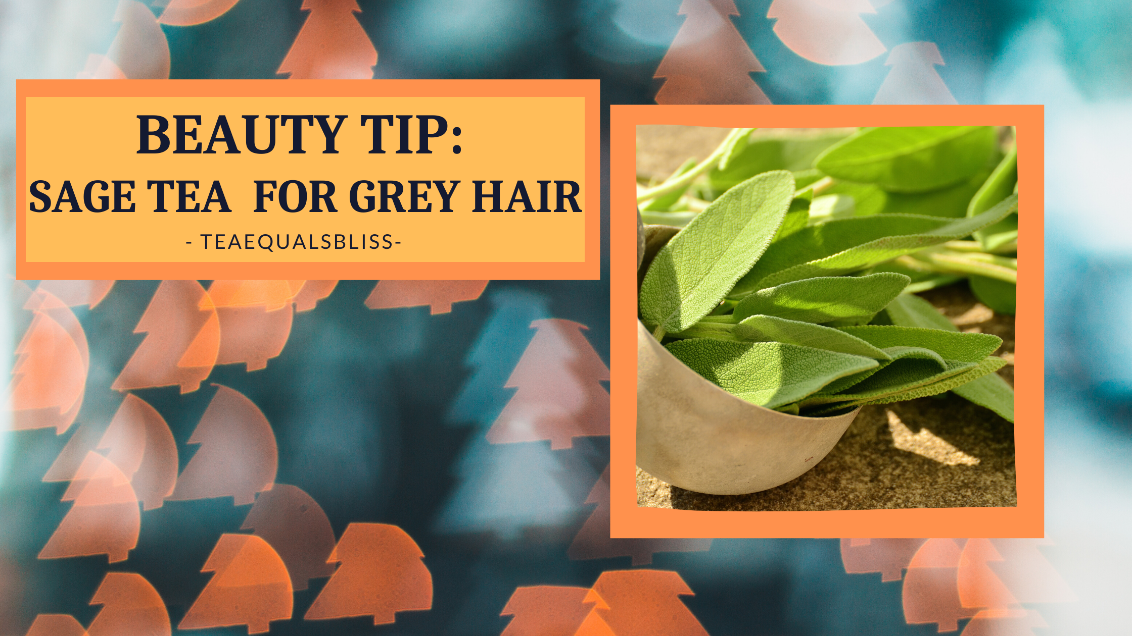 Beauty Tip: Sage Tea for Grey Hair